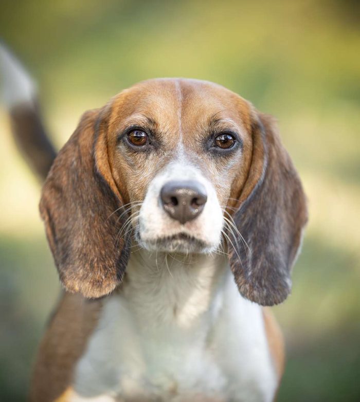 Charlie-webversie-1