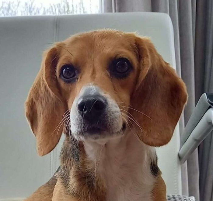 Ronja1