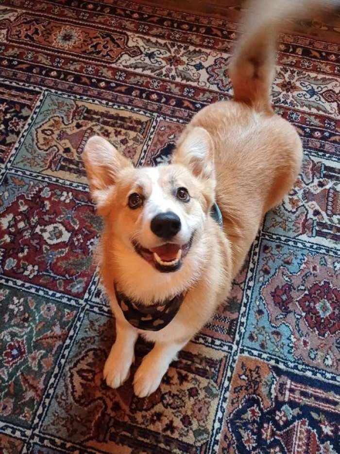 Tobi1