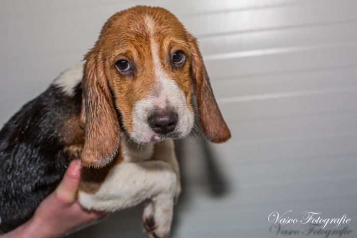 sh6040 Marley-20190427-IMG_2562