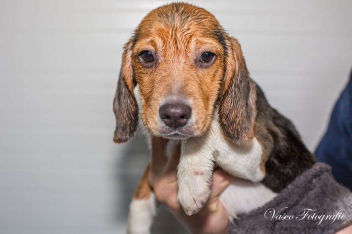 sh6043 Chance-20190427-IMG_2545